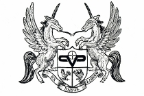 Perugini & Visini srl logo